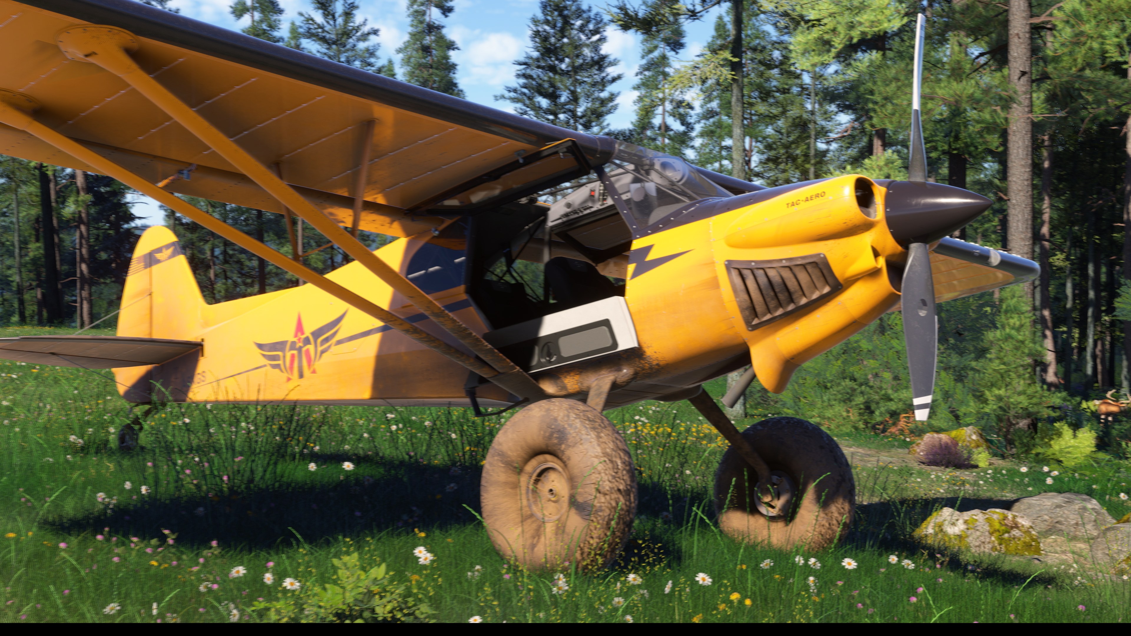 Microsoft Flight Simulator 2024 - Imagen 12